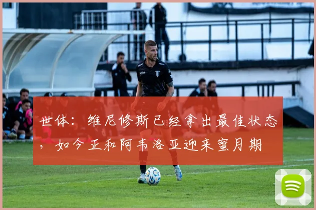 世体：维尼修斯已经拿出最佳状态，如今正和阿韦洛亚迎来蜜月期